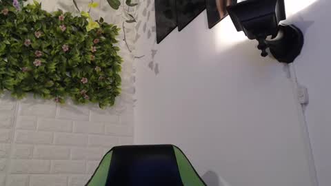 Trixie 3 online show from 02.12.25