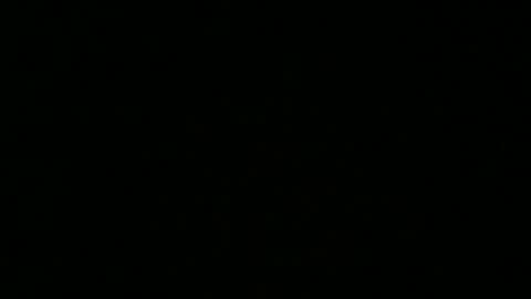 weeskank online show from 10.05.25