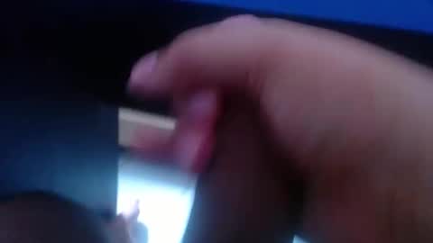 wellingtont online show from 01.12.26