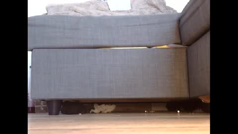 Snapshot of wet_pants2022 chatting on 02.27.25 wet_pants2022 online show from 02.27.25