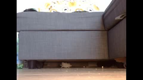 Snapshot of wet_pants2022 chatting on 03.03.25 wet_pants2022 online show from 03.03.25