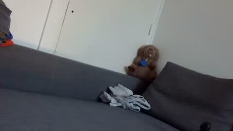 Snapshot of wet_pants2022 chatting on 09.22.25 wet_pants2022 online show from 09.22.25