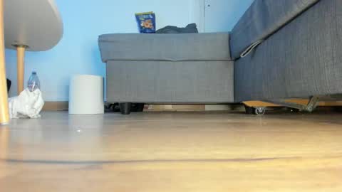 wet_pants2022 online show from 02.10.26