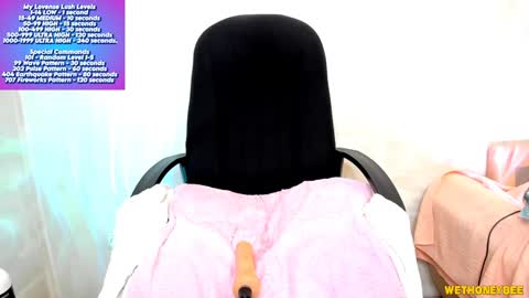 Snapshot of wethoneybee chatting on 02.05.25 Mina online show from 02.05.25