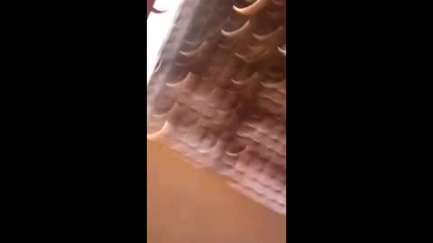 wgebnnrfodwt online show from 04.03.26