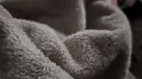 Snapshot of what_whaaat chatting on 11.02.25 what_whaaat online show from 11.02.25