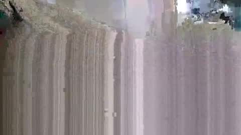 what_whaaat online show from 11.09.25