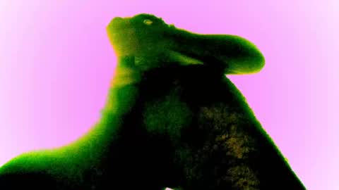 whatsexo online show from 02.28.25