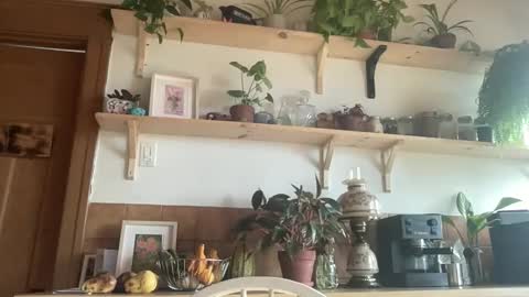 WhiskyLove online show from 11.04.25