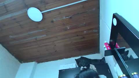 Snapshot of white_sexy_ chatting on 01.10.26 white_sexy_ online show from 01.10.26