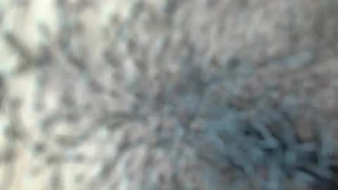 Snapshot of white_sexy_ chatting on 01.18.26 white_sexy_ online show from 01.18.26