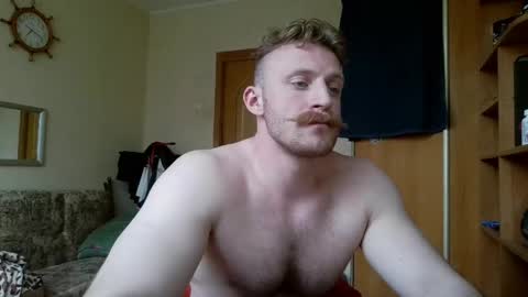 WhiteBull online show from 05.11.26