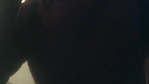 Snapshot of whiteduke81 chatting on 01.03.25 Whiteduke online show from 01.03.25