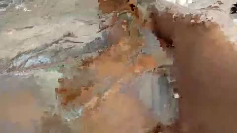 whitelava_4u online show from 11.30.25