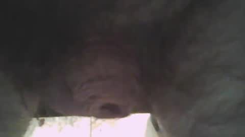 whitemann65 online show from 01.02.25