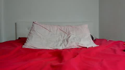 Snapshot of whitepumaari chatting on 01.29.25 Ari online show from 01.29.25