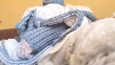 whitesweater online show from 03.23.26