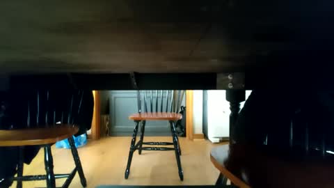 whoneedsaowner online show from 01.09.25