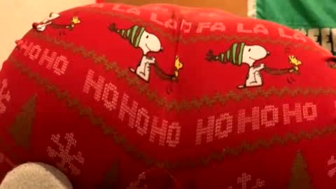 whyou12 online show from 11.21.25