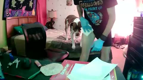 Wichita Wes online show from 11.06.25