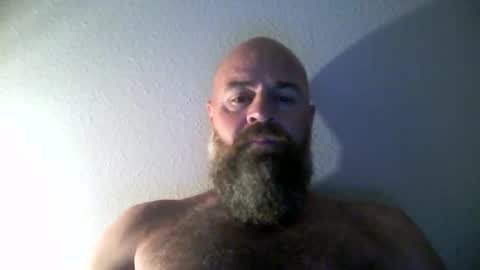 wil1565 online show from 10.04.25