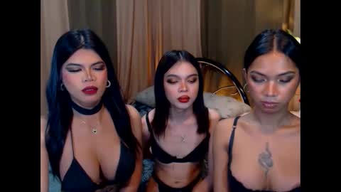 wildara online show from 10.22.25