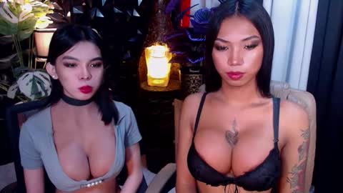 wildara online show from 11.21.25