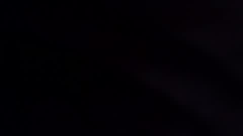 wildara online show from 12.02.25