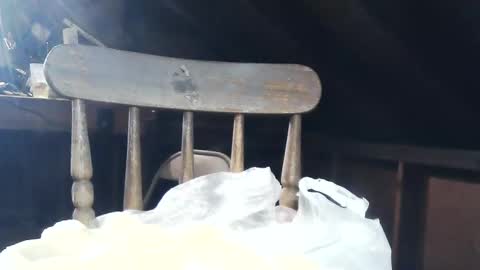 wildman6 online show from 02.08.25