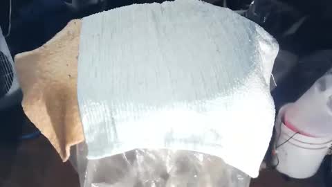 wildman6 online show from 11.17.25