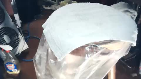 wildman6 online show from 03.07.26