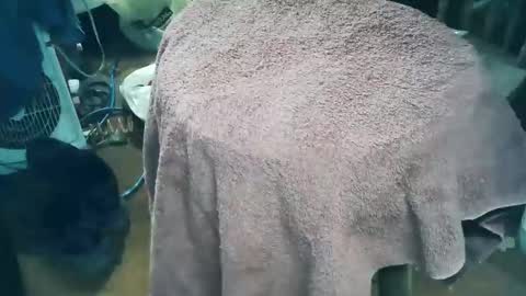 wildman6 online show from 03.28.26