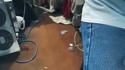 wildman6 online show from 04.24.26