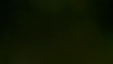 WildPersia online show from 03.08.25