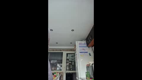 WildPersia online show from 01.15.26