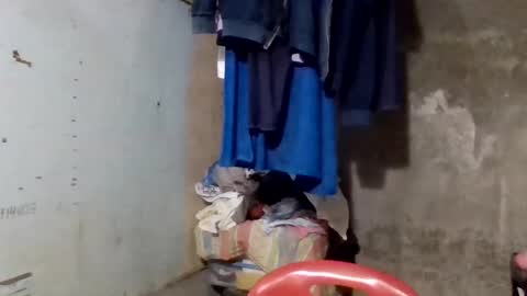 wildveron_205 online show from 12.17.25