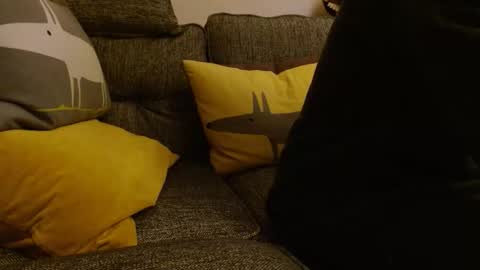 wildwills online show from 05.10.26