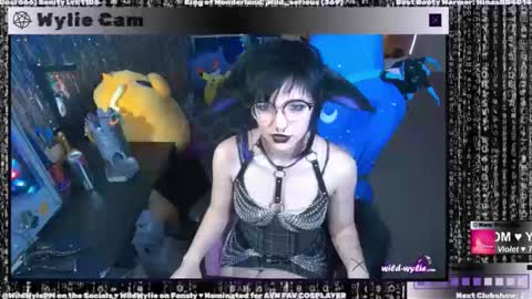 Snapshot of wildwylie chatting on 01.03.25 Wylie Wanderlust online show from 01.03.25