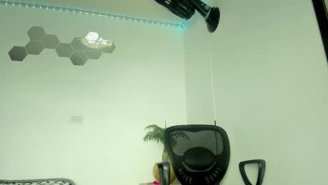 William Parra online show from 02.26.25