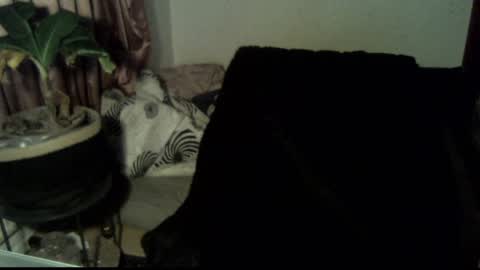 Call me Babe online show from 12.18.24