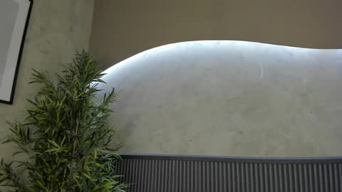 Ms Willow online show from 02.20.25