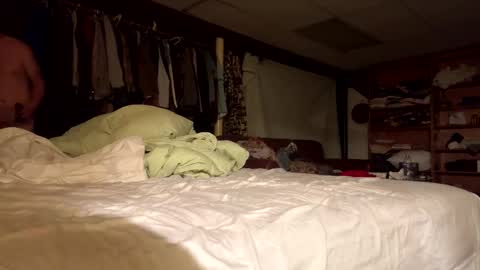 willy_dirk online show from 11.08.25