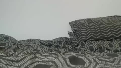 willybewildstonenew online show from 03.18.26