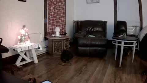 Snapshot of willydogg83 chatting on 12.16.25 willydogg83 online show from 12.16.25