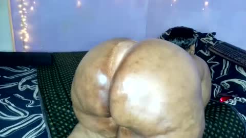 wilmaassylum online show from 11.20.25