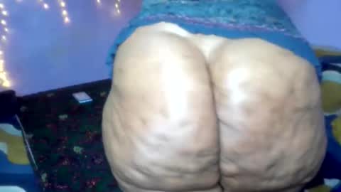 wilmaassylum online show from 01.13.26