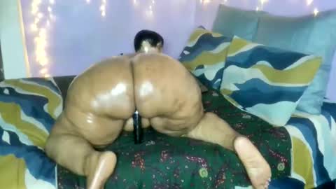 wilmaassylum online show from 01.17.26