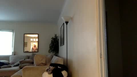 wilmnor online show from 12.12.24