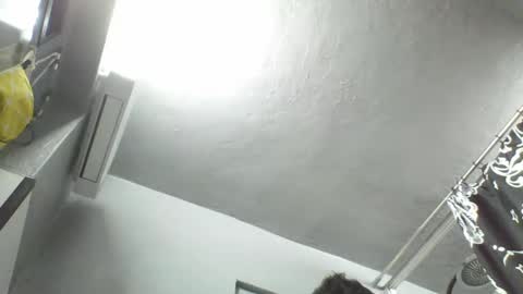 windowpane online show from 12.25.24