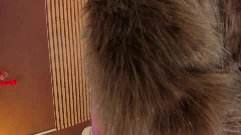 Wini Fer online show from 04.10.26